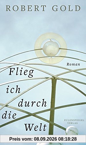 Flieg ich durch die Welt: Roman