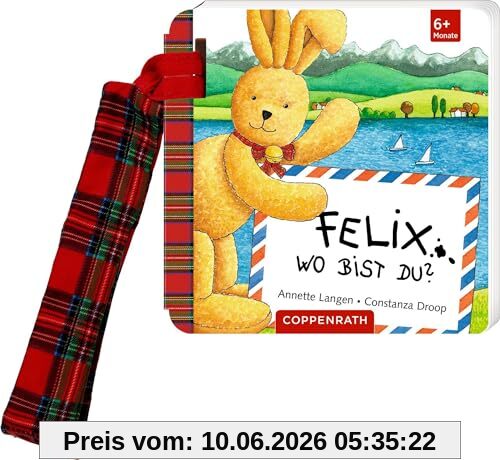 Felix, wo bist du? (Buggybuch)