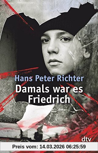 Richter, Hans Peter Damals War Es Friedrich, Roman