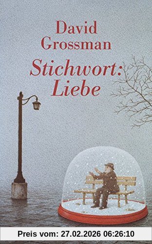 David Grossman Stichwort, Liebe, Roman