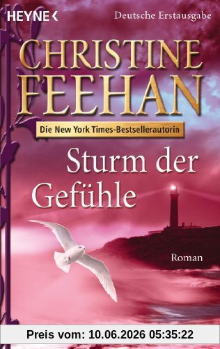 Sturm der Gefühle: Roman: Drake-Schwestern 07