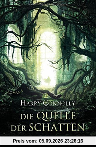 Die Quelle der Schatten: Roman (Der strahlende Weg, Band 3)