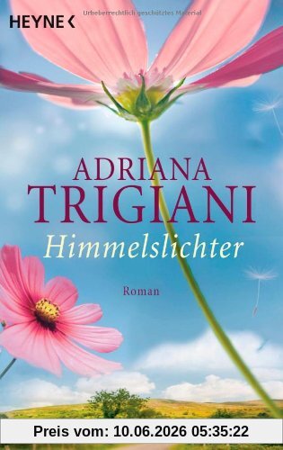 Himmelslichter: Roman