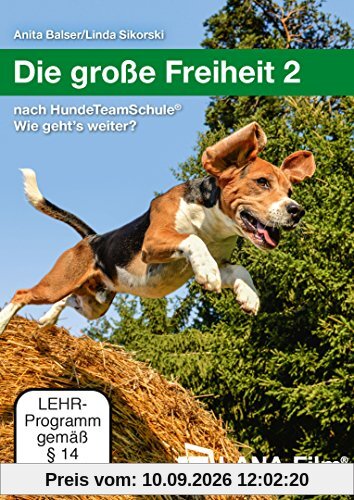 Die große Freiheit 2: nach HundeTeamSchule® Wie geht's weiter?