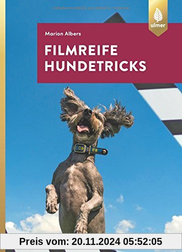 Filmreife Hundetricks: Tricktraining – nicht nur für angehende Filmhunde