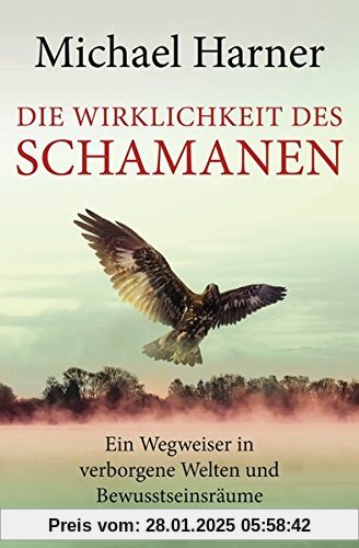 Die Wirklichkeit des Schamanen: Ein Wegweiser in verborgene Welten und Bewusstseinsräume