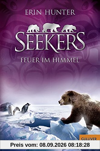 Seekers. Feuer im Himmel: Band 5 (Gulliver)