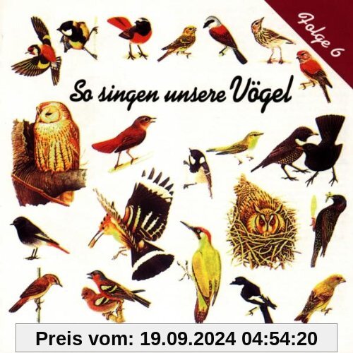 So Singen Unsere Vögel 6