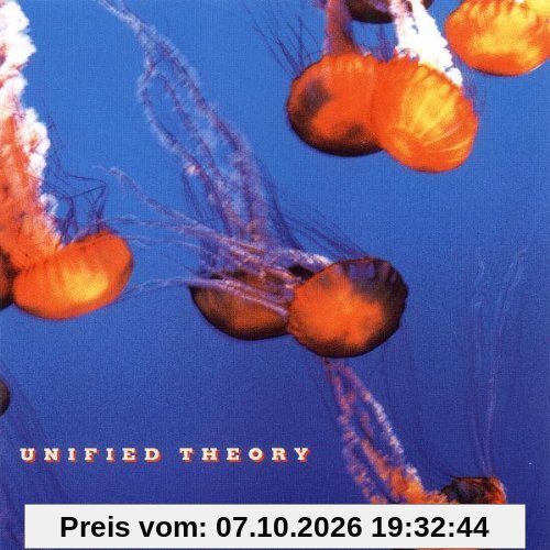 Unified Theory