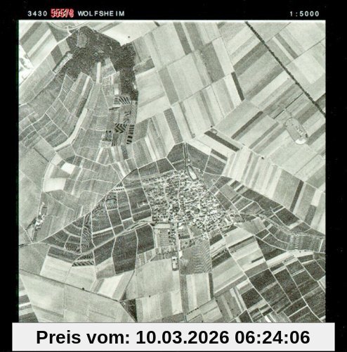 Wolfsheim 55578