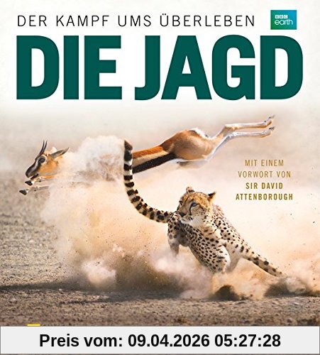 Die Jagd: Der Kampf ums Überleben