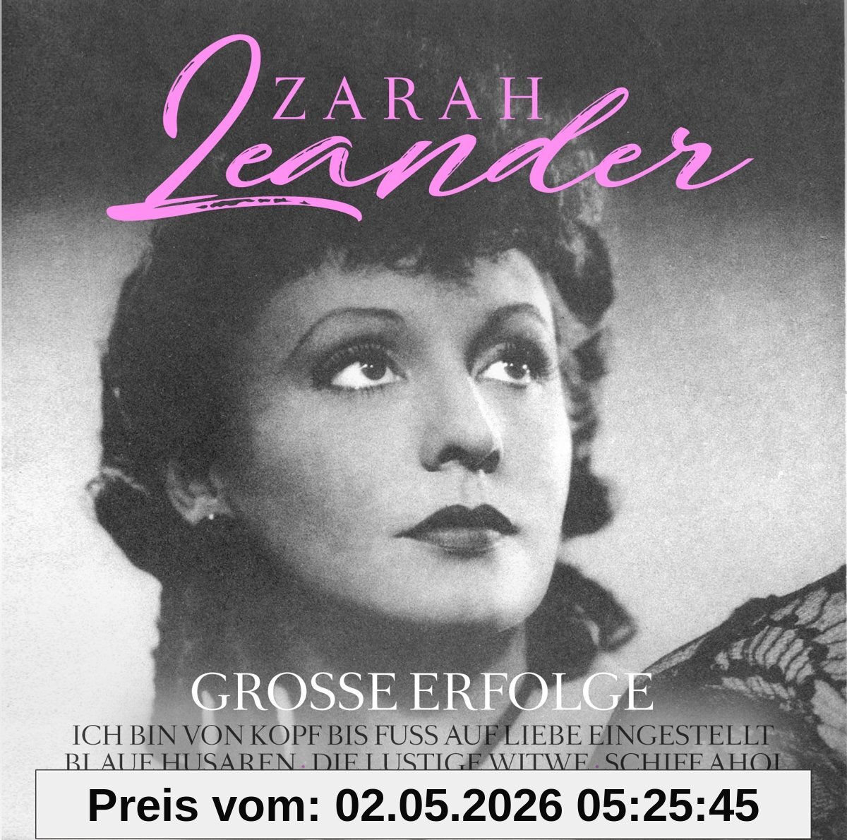 Große Erfolge [Vinyl LP]