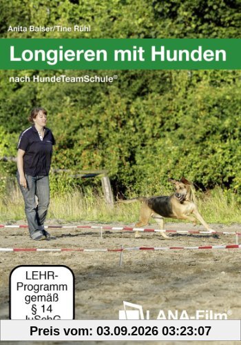 Longieren mit Hunden