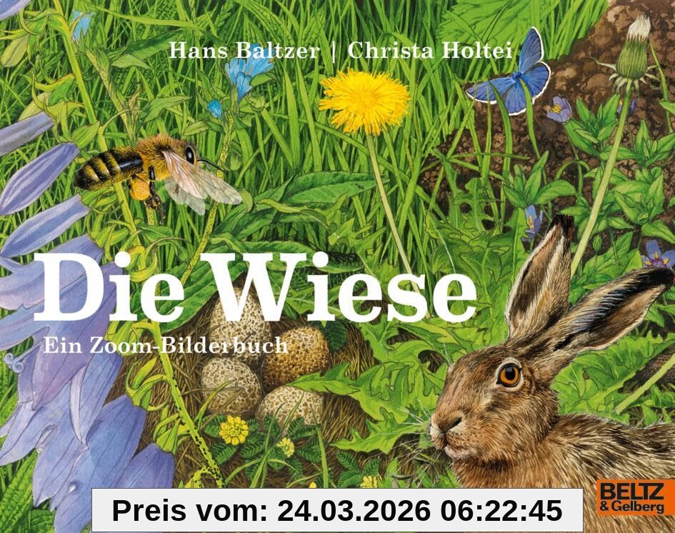 Die Wiese: Ein Zoom-Bilderbuch