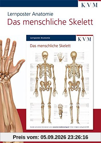 Anatomie Lernposter: Das menschliche Skelett
