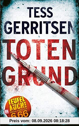 Totengrund (BILD am Sonntag Thriller 2019)