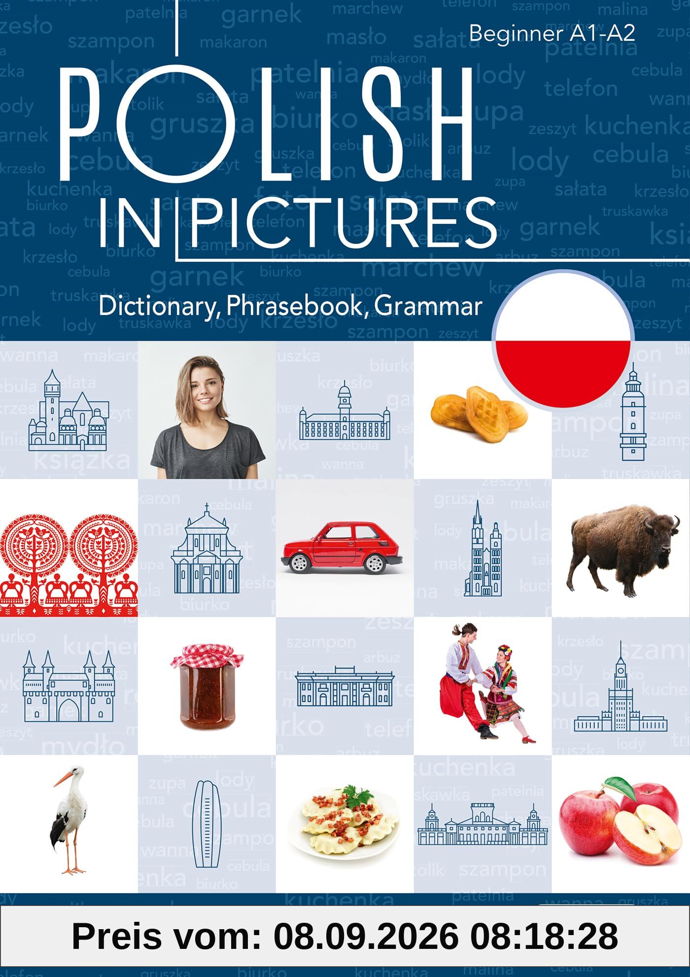 Polish in pictures/Polski w obrazkach Słówka, rozmówki, gramatyka