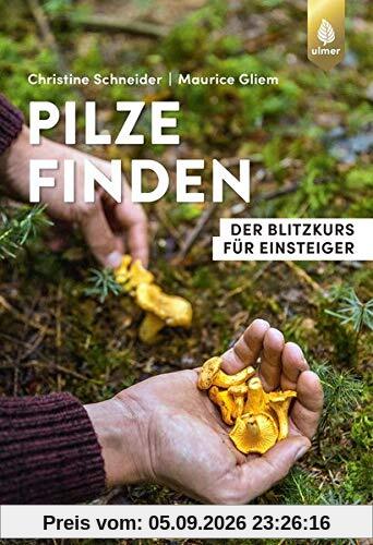 Pilze finden: Der Blitzkurs für Einsteiger
