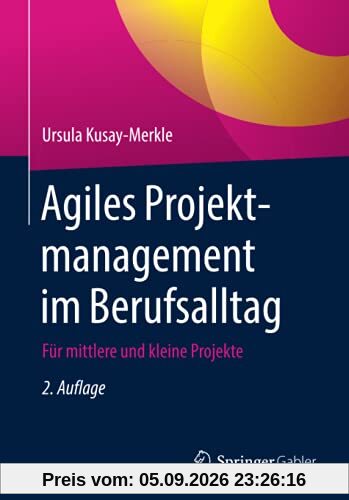 Agiles Projektmanagement im Berufsalltag: Für mittlere und kleine Projekte