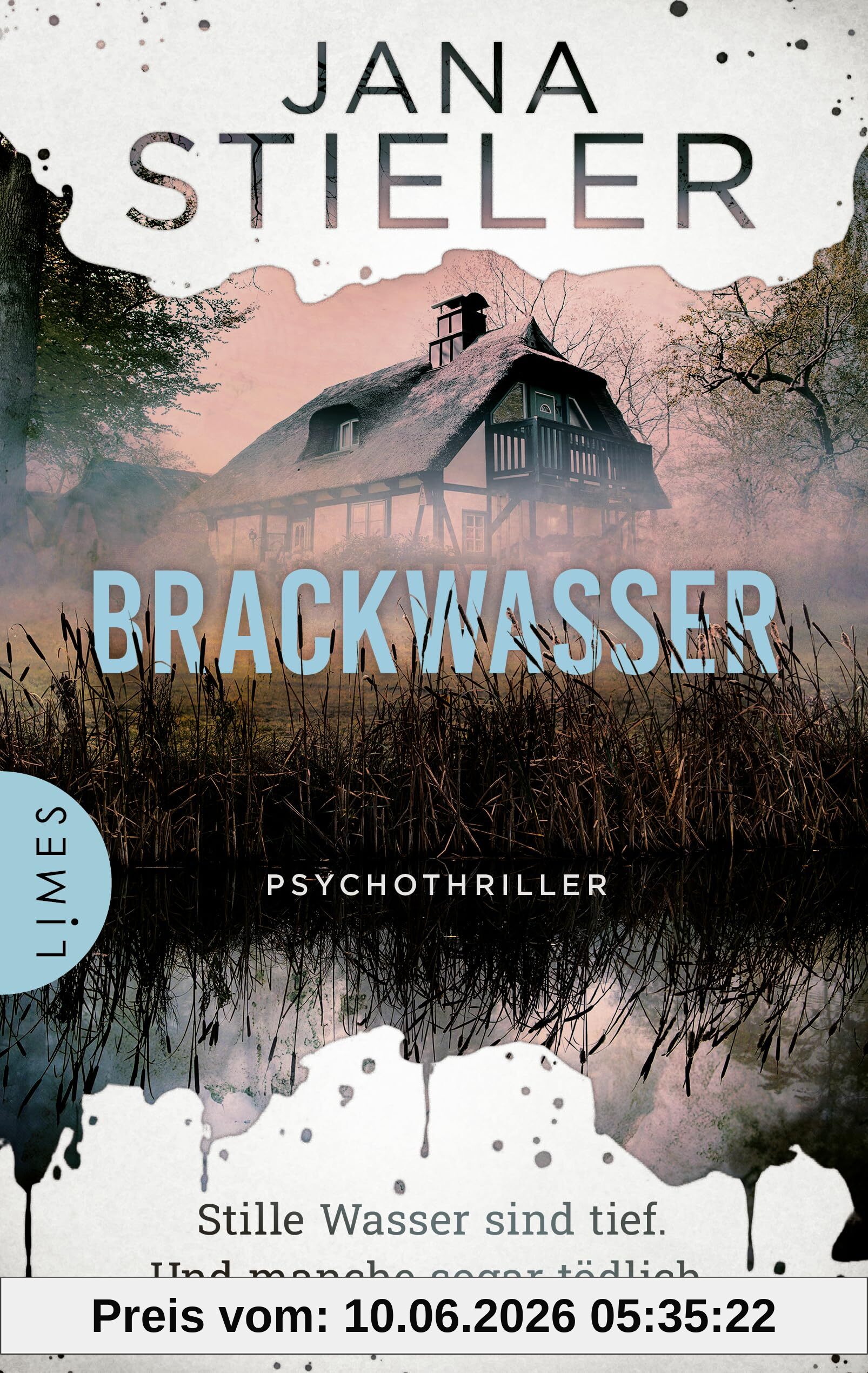 Brackwasser - Stille Wasser sind tief. Und manche sogar tödlich …: Psychothriller - Atmosphärische Spannung aus Norddeutschland