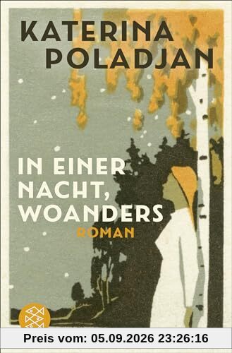 In einer Nacht, woanders: Roman
