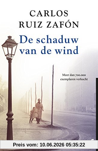 De schaduw van de wind (Het kerkhof der vergeten boeken, Band 1)