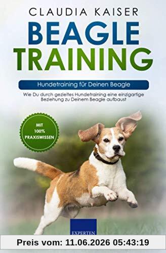 Beagle Training – Hundetraining für Deinen Beagle: Wie Du durch gezieltes Hundetraining eine einzigartige Beziehung zu Deinem Beagle aufbaust