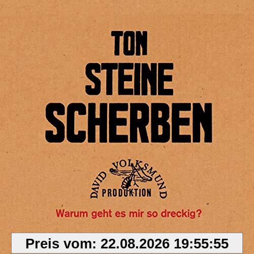 Warum Geht Es Mir So Dreckig? [Vinyl LP]