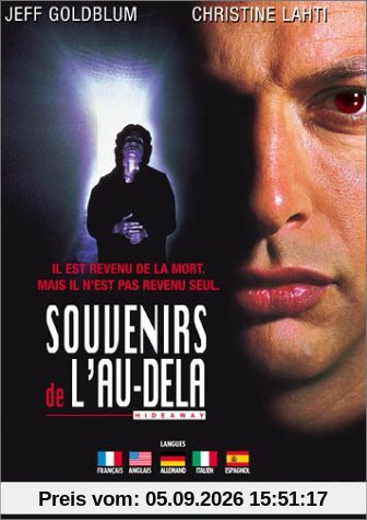 Souvenirs de l'au-dela [FR Import]