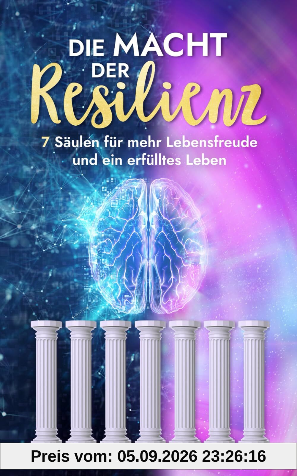Die Macht der Resilienz: 7 Säulen für mehr Lebensfreude und ein erfülltes Leben (Menschliche Psychologie, Band 11)