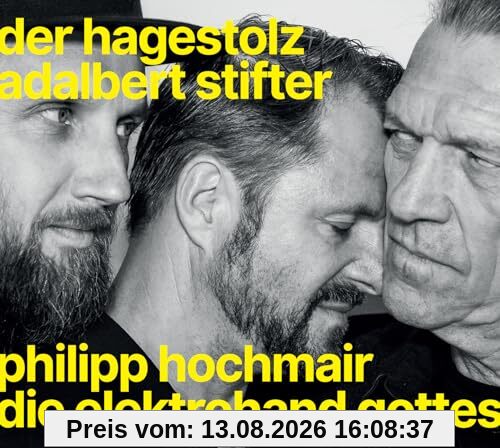 Der Hagestolz (Adalbert Stifter)