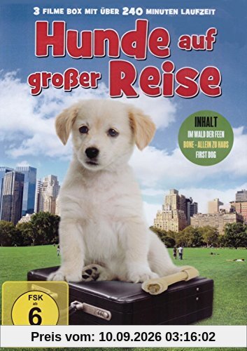 Hunde auf großer Reise (Im Wald der Feen - Bone Allein zu Haus - First Dog)