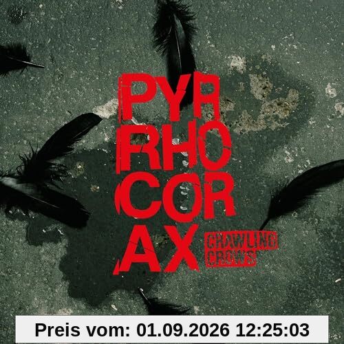 Pyrrhocorax