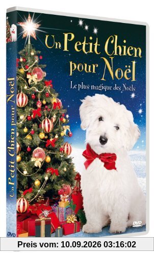 Un petit chien pour le village de noël [FR Import]