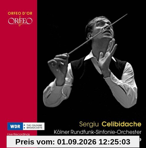 Die Orchesterkonzerte