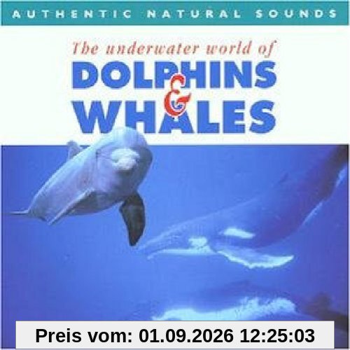 Dolphins & Whales