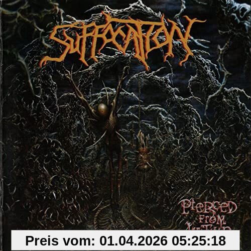 Pierced from Within [Vinyl LP]