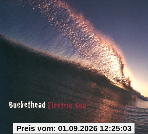 Electric Sea,the