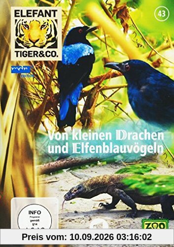 Elefant, Tiger & Co. - Teil 43 - Von kleinen Drachen und Elfenblauvögeln [2 DVDs]