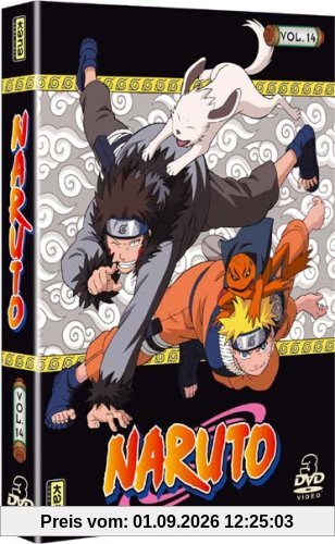 Naruto, vol. 14 [FR Import]