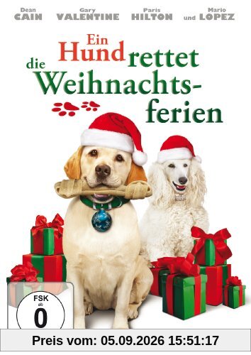 Ein Hund rettet die Weihnachtsferien