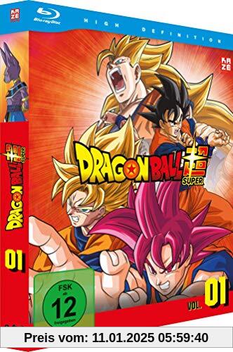 Dragonball Super - 1. Arc: Kampf der Götter - Episoden 1-17 [2 Blu-rays]