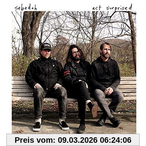 Sebadoh Act Surprised