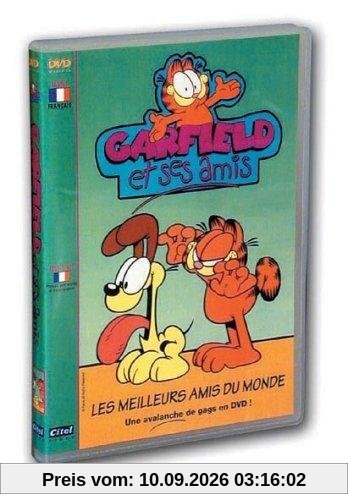Garfield et ses amis : Les meilleurs amis du monde [FR Import]