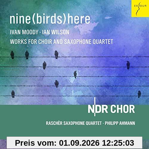 nine(birds)here