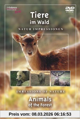 unbekannt Tiere Im Wald