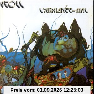 L'Araignée-Mal