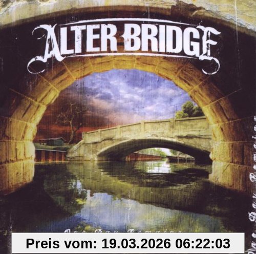 Alter Bridge One Day Remains