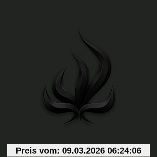 Bury Tomorrow Black Flame