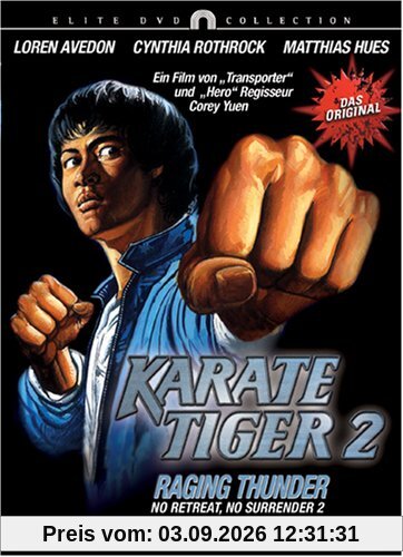 Karate Tiger 2